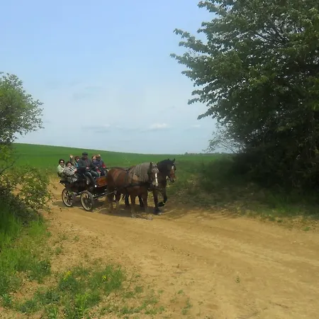 Penzion Gadanyi Vendeghaz Es Lovarda Komló