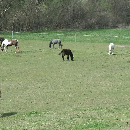 Affittacamere Gadányi és Lovarda 3*